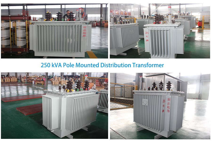 250 kVA Pole Mounted Distribution Transformer 5