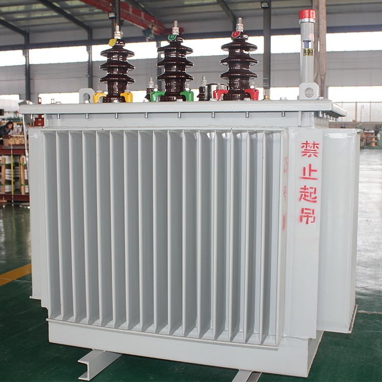 What are the common problems of oil immersed transformer cores?