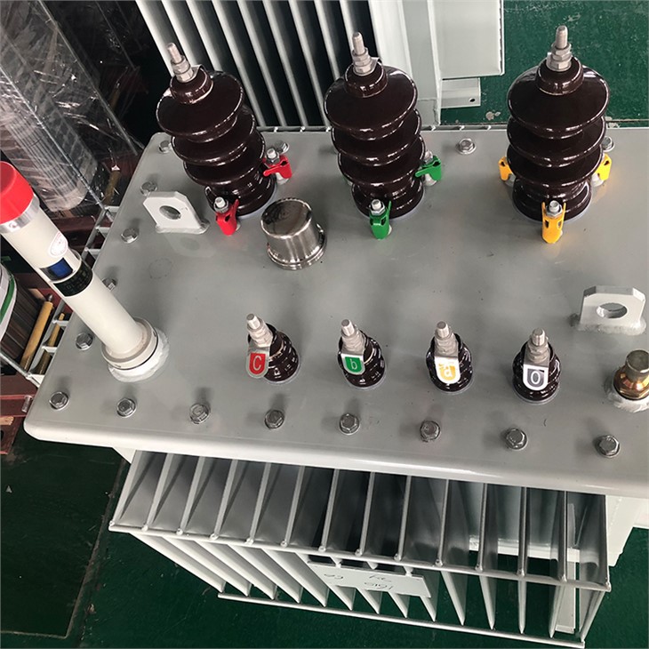 100 KVA 3 Phase Oil Coole Distribution Transformer